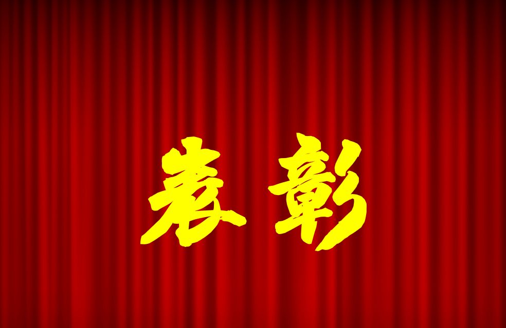 逐光前行、榮耀共鑒 | 公司2024年度表彰來(lái)啦！